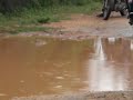 Mohan crossing Stream
