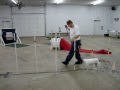 Aaron and Buddy's 2nd Agility Class