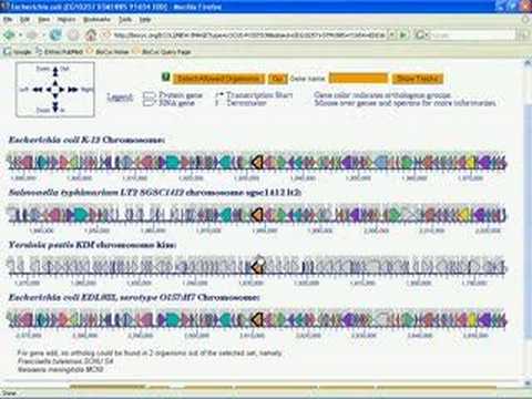 Comparative and Omics Tools in ...