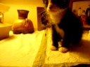 Oliver