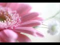 Antonio Vivaldi: Nisi Dominus [Psalm 126] for soprano, 2 altos in A major (RV 803) - V.VII.