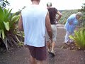 walking up to kaieteur falls