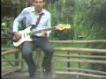 Los Mirlos - La danza del lorito