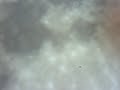 2nd Object Across the Moon