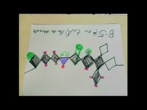 pantothenic