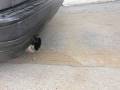 videos de Backfire