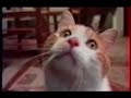 parodie du g�n�rique de la s�rie 