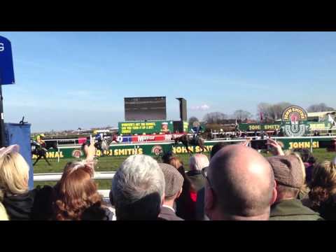 grand national 2013