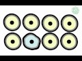 Click here to watch this video Grundprinzipien von bioelektrischen gleichheit den Zell membrane