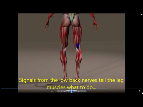 how to treat outside knee pain