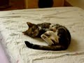 Muschi Lecken Muschi Lecken