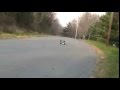 Hi Speed Brushless Revo Vulgarity