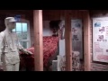 Ferdinand's Adventures: Naper Settlement