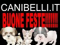 BUONEFESTE !!!