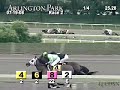 ARLINGTON PARK, 2008-07-19, Race 2
