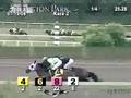 ARLINGTON PARK, 2008-07-19, Race 2