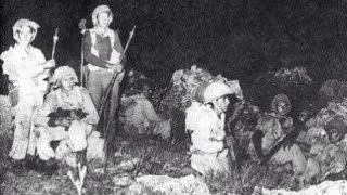 مجزرة المركز  في قلقيلية عام 1956- احمد شاور