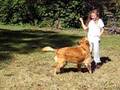 Alexis and Jocie play fetch