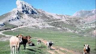 Ourar Nath Wacif De Tizi Au Djurdjura