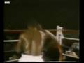 Mike Tyson Bit Edition