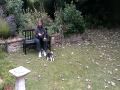 Bramble in the garden