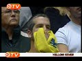 Yellow fever