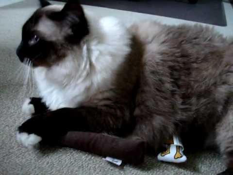 0 Yeowww! Catnip Toys