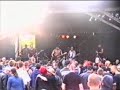 13 Kollektiver Brechreiz - Narrentanz