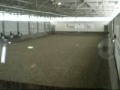 caroussel 13/01/08