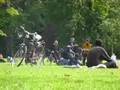 videos de Vondelpark music