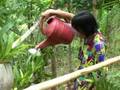 PBSP Video: Saving Samar