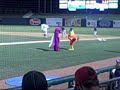 Dancing Chicken Vs. Barney - Springdale Naturals Dancing Chicken Vs. Barney - Springdale Naturals