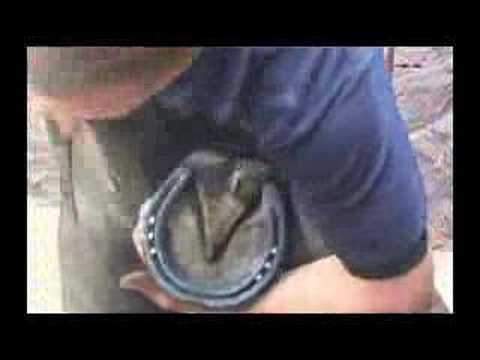 Inveraray Argyll Scotland Farrier ...