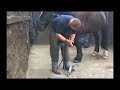 Inveraray Argyll Scotland Farrier Shoeing Inveraray Argyll Scotland Farrier Shoeing