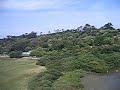 Tresco