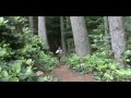 Ultrarunning 2009 Coaching Endurance