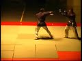 Yoseikan Budo enchainement / landoli / training