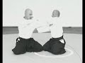 aikido kobayashi jacek wysocki