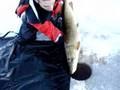 Pike 13.4 kgs (29lbs9oz) Released!