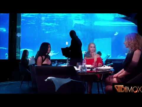 Nemo Restaurant Animasyon