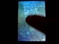 iPhone App of the Week 8.8.08 - Koi Pond