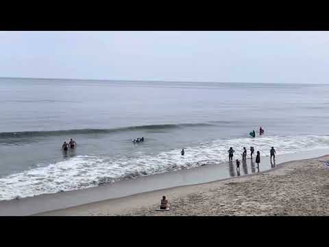 Has a preview image link and yet 404 :/