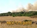 Incendio -Paulilatino (18/08/2008)