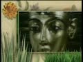 Heilkr�fte der Natur