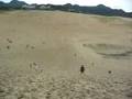 videos de Running down at Tottori Dune