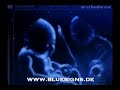 Schalke 04 - Ein Leben lang