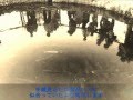 悲しみの終着駅 Kanashimi no Shuchakueki (cover) 吉祥寺五右衛門