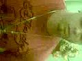 Wisin.y.yandel.3gp