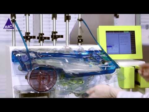 how to isolate t cells