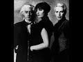 Siouxsie & the Banshees